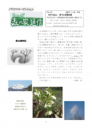 森通信8号.pdf